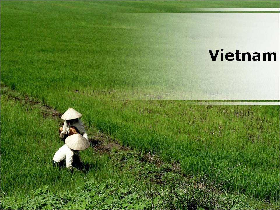 Vietnam Country PowerPoint Presentation