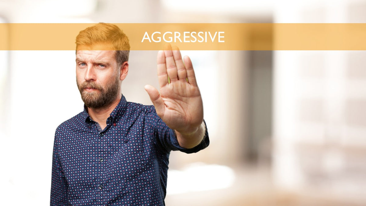 Assertiveness PowerPoint Presentation