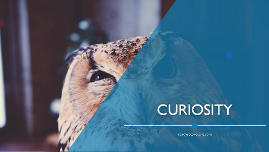 Curiosity PowerPoint Quotes